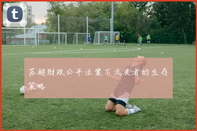 苏超财政公平法案下流浪者的生存策略