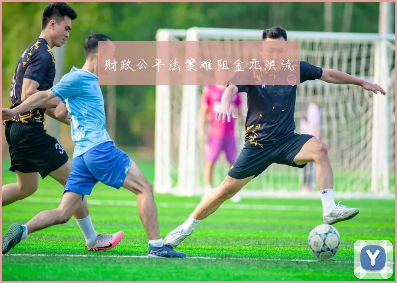 财政公平法案难阻金元洪流