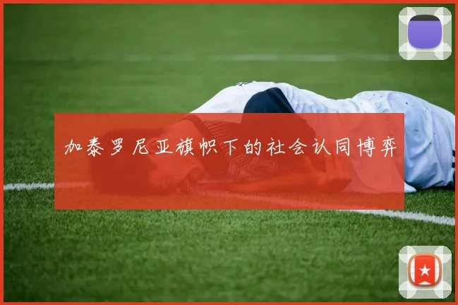 加泰罗尼亚旗帜下的社会认同博弈