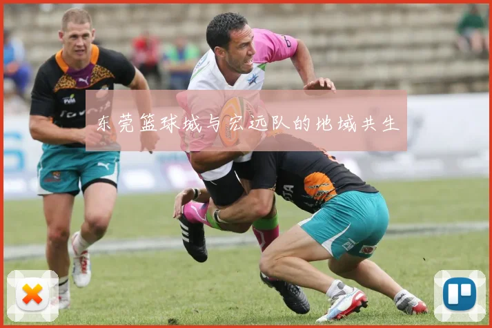 东莞篮球城与宏远队的地域共生