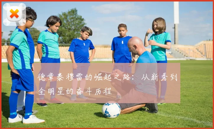 德章泰穆雷的崛起之路：从新秀到全明星的奋斗历程