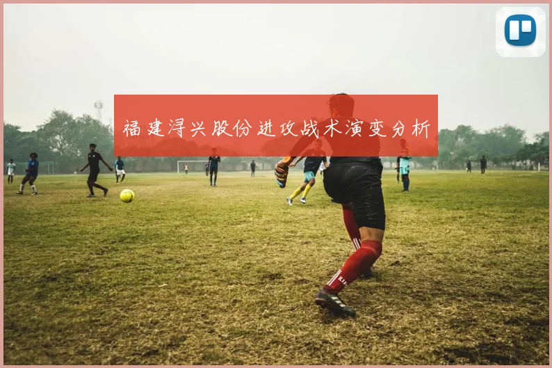 福建浔兴股份进攻战术演变分析