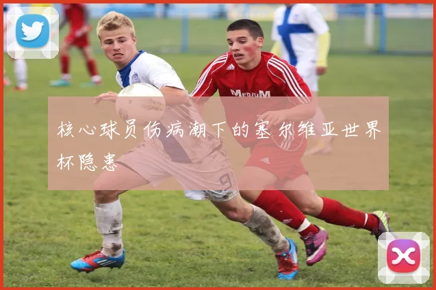 核心球员伤病潮下的塞尔维亚世界杯隐患