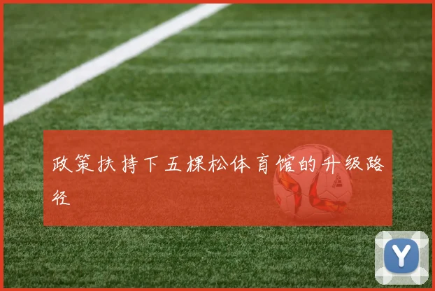 政策扶持下五棵松体育馆的升级路径