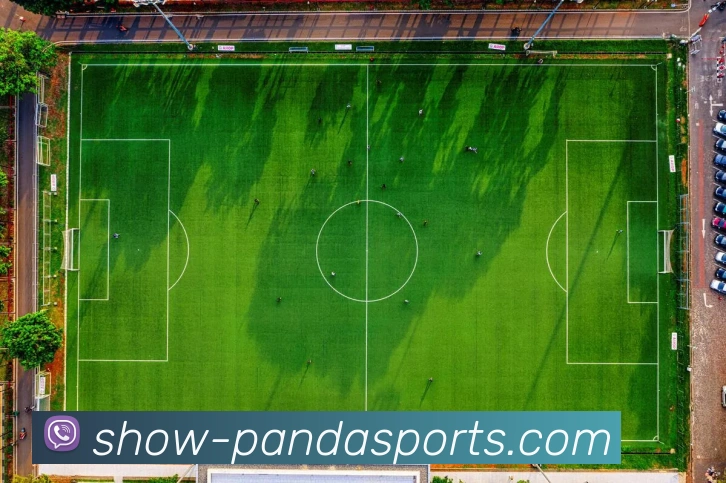 熊猫体育平台生态图